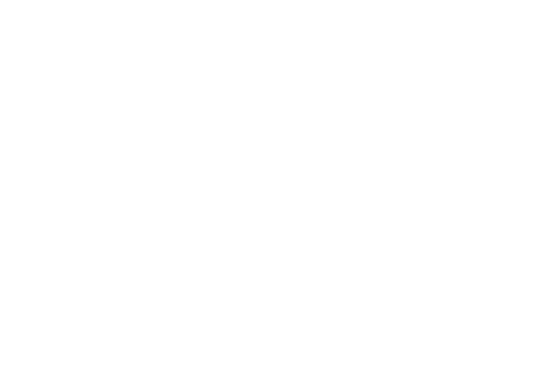 Visita Guiada